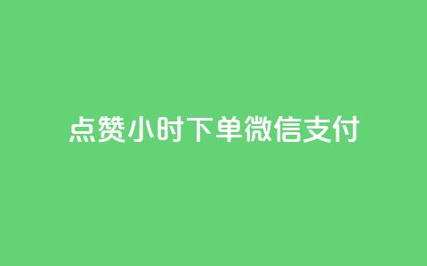 点赞24小时下单微信支付 - 24小时内轻松下单，微信支付便捷无忧! 第1张