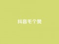 抖音1毛1000个赞,快手24小时在线下单平台免费 - 全网自助下单最便宜 - 抖音24小时自助点赞下单