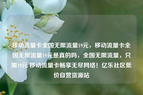 移动流量卡全国无限流量19元，移动流量卡全国无限流量19元是真的吗	，全国无限流量，只需19元 移动流量卡畅享无尽网络！亿乐社区低价自营货源站  第1张